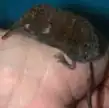 alternativní popis obrázku chybí