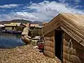 Využití skřípince na jezeře Titicaca