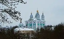 Pohled na Smolenskou katedrálu v zimě