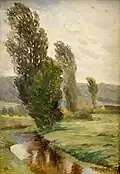 Václav Březina Potok (studie)