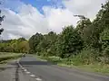 Pohled na bažantnici od silnice