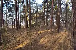 Vítkovec1.jpg