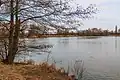 Pohledy na Vítkovský rybník