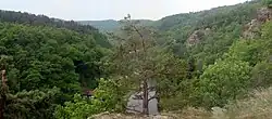 Pohled do údolí Jihlavy (Biskoupky)