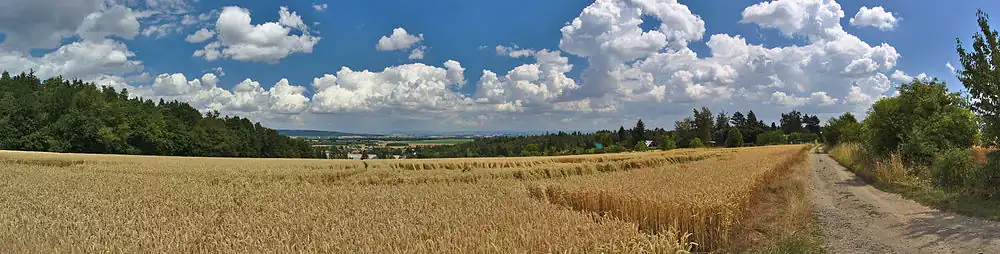 Výhled na Mostkovice od jihu