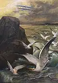 Śestnáct albatrosů (kol.1920)