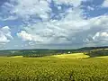 Krajina u Věteřova