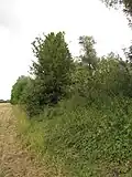 Okraj Černavy