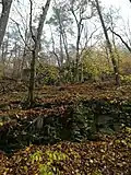 Svah od potoka