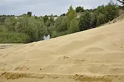 Bežnisko