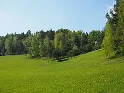 Pohled na louky