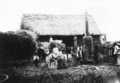 Vacenovická mlátička poháněná parním strojem (1910)