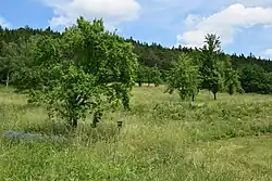 Část chráněného území u silnice z Valče do Nové Vsi