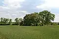 Tvrziště se nachází v zalesněném ostrůvku