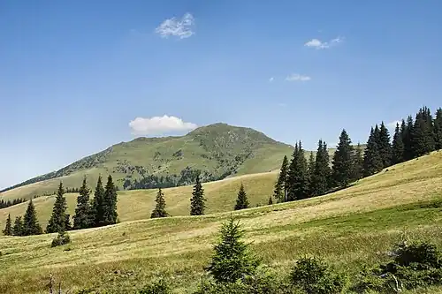 Farcău od jihu