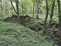 Varhošť