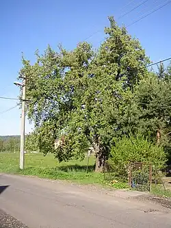 V květnu 2012