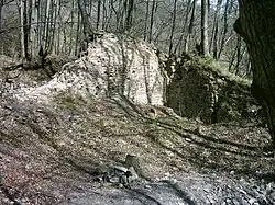 Zřícenina hradu Vartnov