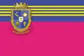 Vasylivský rajón – vlajka