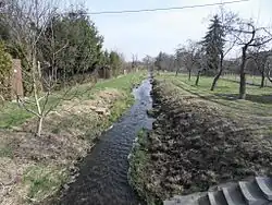 Vejprnický potok, 200 m před soutokem se Mží