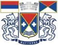 Žagubica – znak