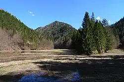 jezero Blatné
