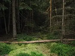 Pohled do rezervace