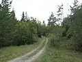 Cesta z lomu k vápence