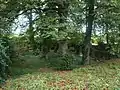 ŽH Velká nad Veličkou