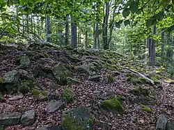 Velký Blaník - valy pravěkého hradiště poblíž vrcholu (3).jpg