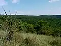 Výhled do okolí rezervace