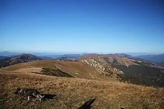 Suchý vrch