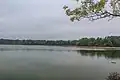 Velkorojický rybník