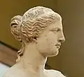 Detail hlavy