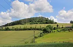 Vepří od jihu