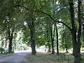 Park za zámkem