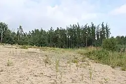 Vesecký kopec - obnažená část lokality