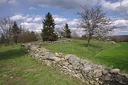 Veselský chlum