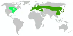 Přibližný areál rozšíření