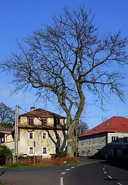 v květnu 2017