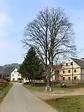 Náves
