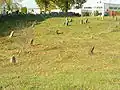 Židovský hřbitov ve Viekšniajích