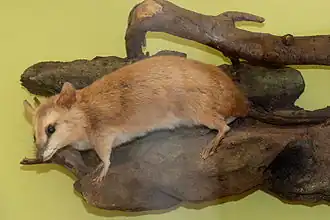 alternativní popis obrázku chybí