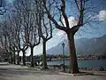 Jezero Como z Lecca
