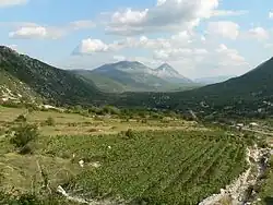 Pohled na Kozici a okolí