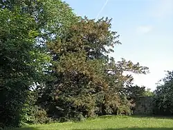 červen 2011
