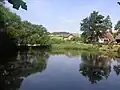 Rybník