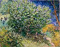 Vincent van Gogh, Šeřík, 1889