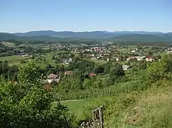 Vinica