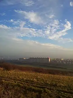 Vinice v Plzni